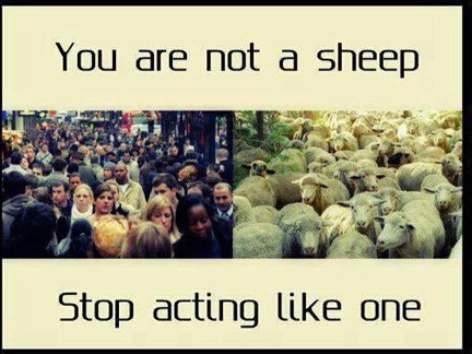 you are not a sheep